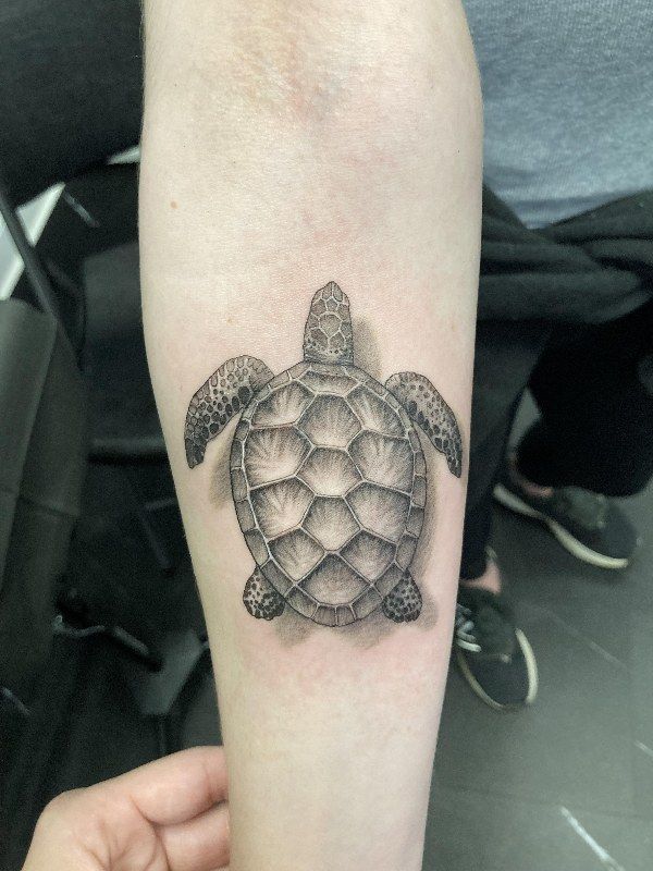 Black and grey sea turtle with dotwork shading on a forearm
